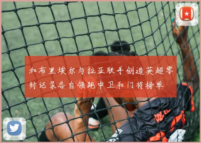 加布里埃尔与拉亚联手创造英超零封记录各自领跑中卫和门将榜单